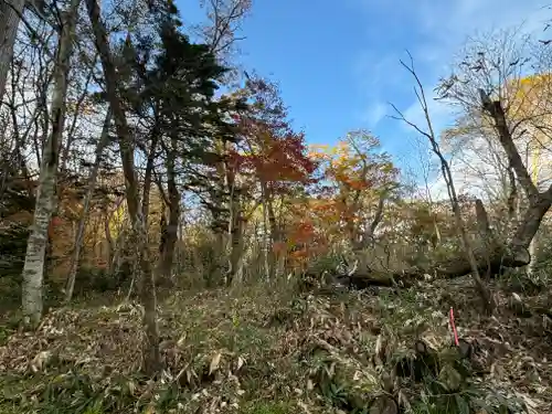 戸隠神社九頭龍社(長野県)