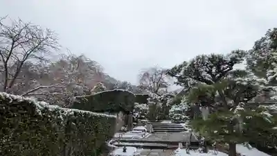 圓光寺(京都府)