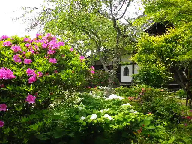 浄光明寺の庭園
