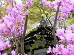 長谷寺(神奈川県)