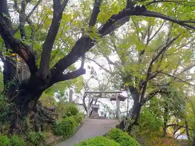 石神白龍大王社のその他建物