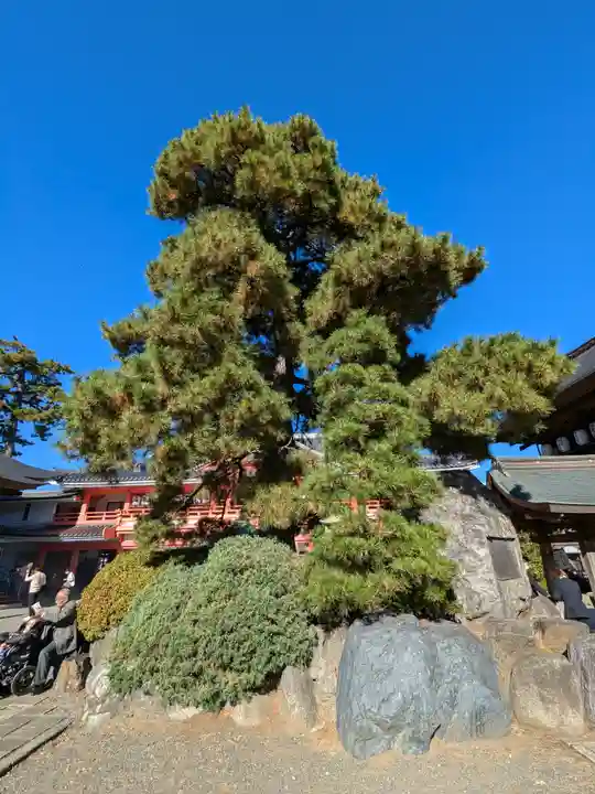 高幡不動尊 金剛寺(東京都)