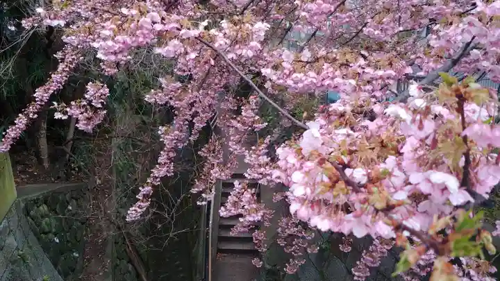 晴明神社の自然