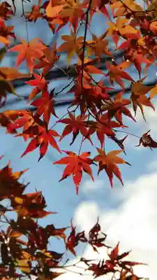 大矢田神社(岐阜県)