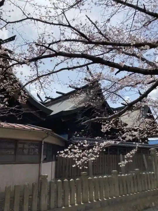住吉神社の本殿・本堂