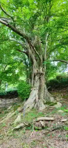 登米神社(宮城県)