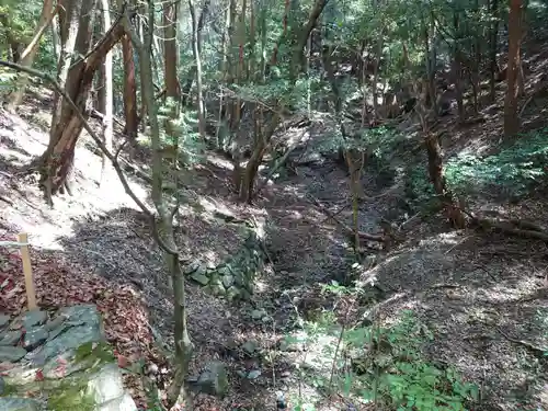 伊勢神宮内宮（皇大神宮）の自然