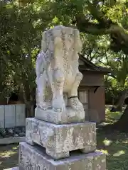 大麻比古神社の狛犬