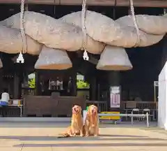 常陸国出雲大社の動物