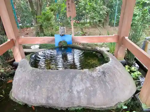 天然寺の手水