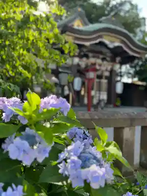 川越八幡宮(埼玉県)