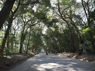 明治神宮(東京都)