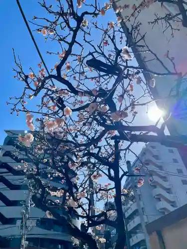 神楽坂安養寺(東京都)