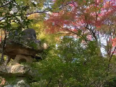 赤山禅院(京都府)