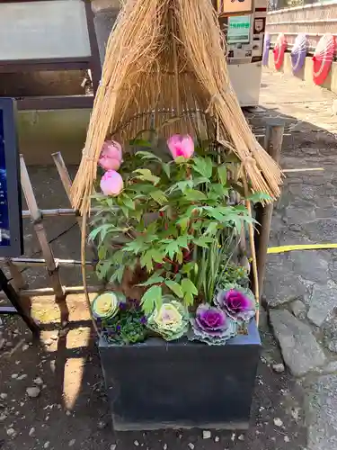 上野東照宮の自然