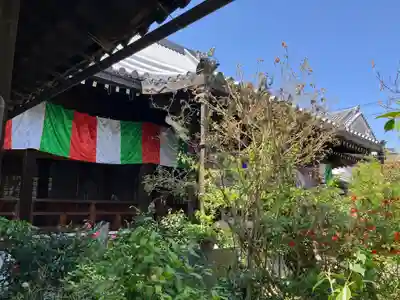 妙慶寺(大阪府)