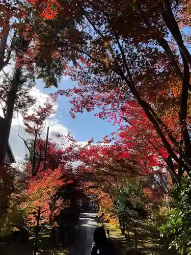 鹿王院(京都府)