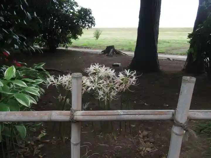 常敬寺(千葉県)