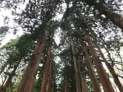 戸隠神社奥社(長野県)