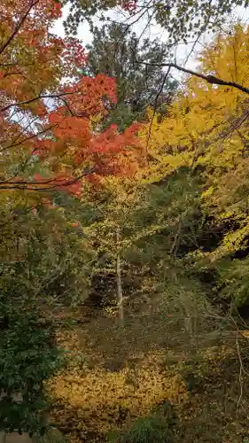 三宅八幡宮(京都府)