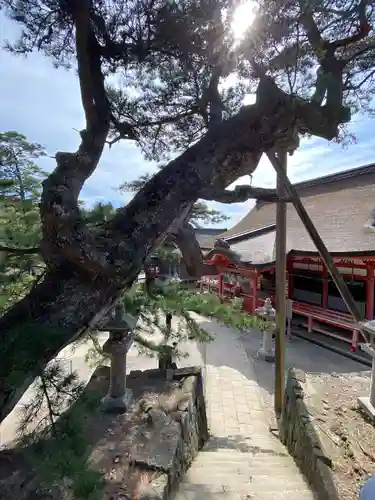 日御碕神社(島根県)