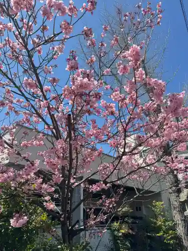 阿邪訶根神社の{uncategorized: "未分類", other: "その他", undefined: "問題あり", building: "その他建物", grave: "お墓", sacred_gate: "鳥居", guardian: "狛犬", statue: "像", buddha: "仏像", history: "歴史", nature: "自然", garden: "庭園", animal: "動物", pagoda: "塔", temizu: "手水舎", mountain_gate: "山門・神門", sanctuary: "本殿・本堂", subordinate: "末社・摂社", art: "芸術", scenery: "景色", jizo: "地蔵", ema: "絵馬", goshuin: "御朱印", omikuji: "おみくじ", items: "授与品その他", amulet: "お守り", goshuincho: "御朱印帳", eats: "食事", festival: "お祭り", votive_dance: "神楽", shichigosan: "七五三参", wedding: "結婚式", experience: "体験その他", initially: "初詣", around: "周辺", anti_infection: "感染症対策"}
