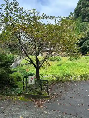 八女津媛神社(福岡県)