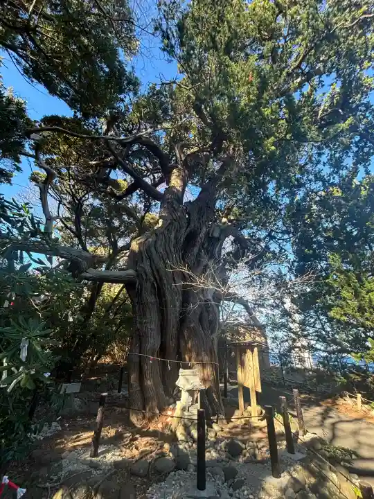 大瀬神社の{uncategorized: "未分類", other: "その他", undefined: "問題あり", building: "その他建物", grave: "お墓", sacred_gate: "鳥居", guardian: "狛犬", statue: "像", buddha: "仏像", history: "歴史", nature: "自然", garden: "庭園", animal: "動物", pagoda: "塔", temizu: "手水舎", mountain_gate: "山門・神門", sanctuary: "本殿・本堂", subordinate: "末社・摂社", art: "芸術", scenery: "景色", jizo: "地蔵", ema: "絵馬", goshuin: "御朱印", omikuji: "おみくじ", items: "授与品その他", amulet: "お守り", goshuincho: "御朱印帳", eats: "食事", festival: "お祭り", votive_dance: "神楽", shichigosan: "七五三参", wedding: "結婚式", experience: "体験その他", initially: "初詣", around: "周辺", anti_infection: "感染症対策"}