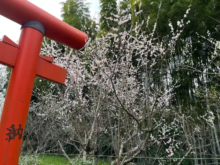 五所八幡宮(福岡県)