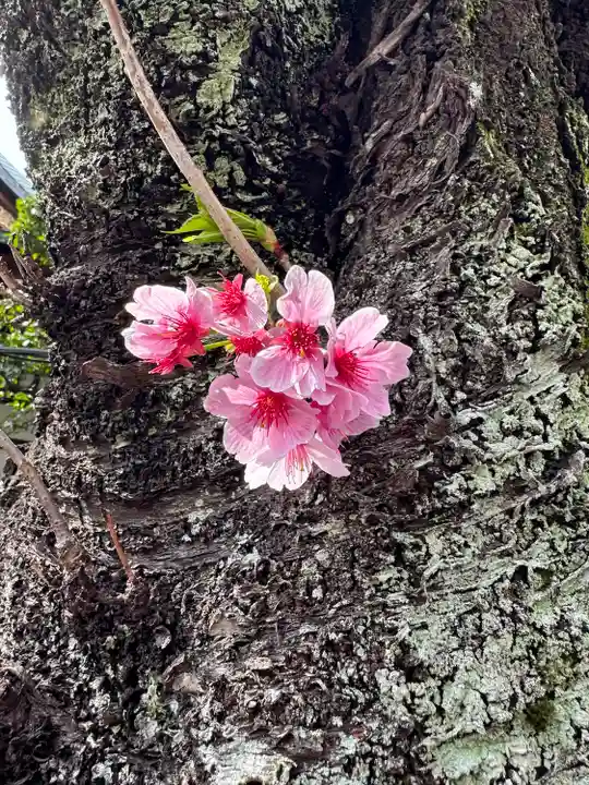 田端八幡神社(東京都)
