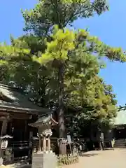 前鳥神社(神奈川県)