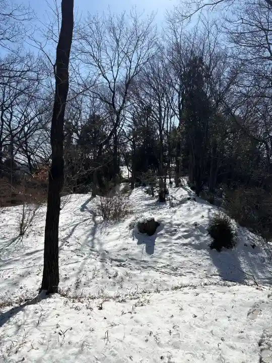 四津山神社の{uncategorized: "未分類", other: "その他", undefined: "問題あり", building: "その他建物", grave: "お墓", sacred_gate: "鳥居", guardian: "狛犬", statue: "像", buddha: "仏像", history: "歴史", nature: "自然", garden: "庭園", animal: "動物", pagoda: "塔", temizu: "手水舎", mountain_gate: "山門・神門", sanctuary: "本殿・本堂", subordinate: "末社・摂社", art: "芸術", scenery: "景色", jizo: "地蔵", ema: "絵馬", goshuin: "御朱印", omikuji: "おみくじ", items: "授与品その他", amulet: "お守り", goshuincho: "御朱印帳", eats: "食事", festival: "お祭り", votive_dance: "神楽", shichigosan: "七五三参", wedding: "結婚式", experience: "体験その他", initially: "初詣", around: "周辺", anti_infection: "感染症対策"}