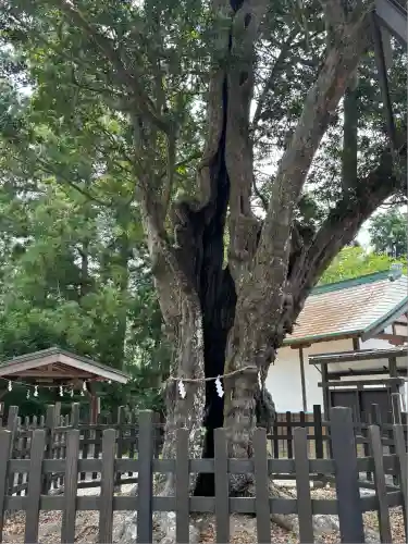 天宮神社(静岡県)