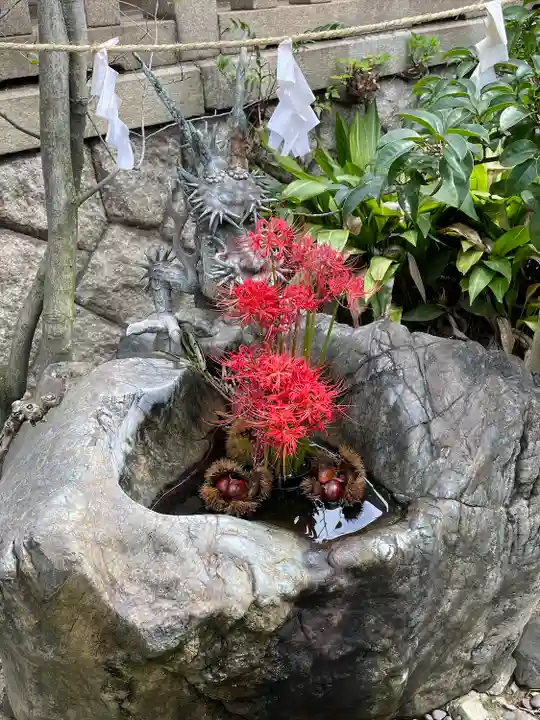 彦島八幡宮の手水舎