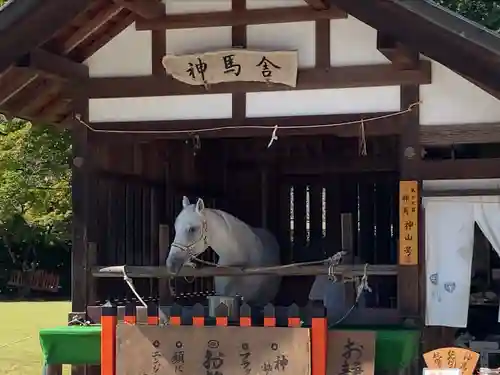 賀茂別雷神社（上賀茂神社）(京都府)