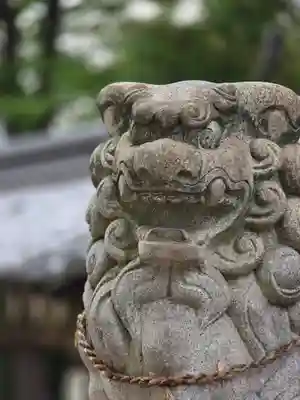 廣田神社の狛犬