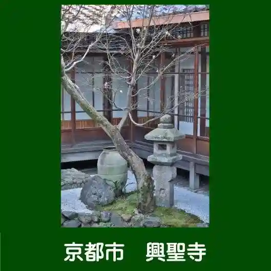 興聖寺(京都府)