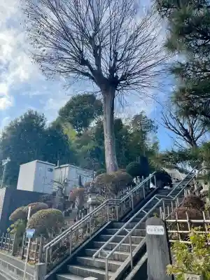 廣源院東福寺(東京都)