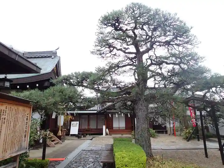 御霊神社の自然