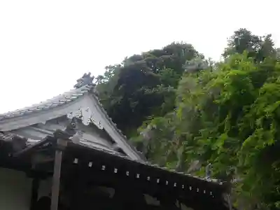 大寳寺の本殿・本堂