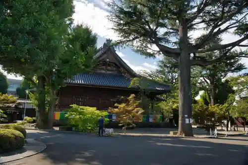 寛永寺(根本中堂)(東京都)