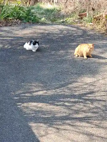 稲荷神社(今福町)(栃木県)