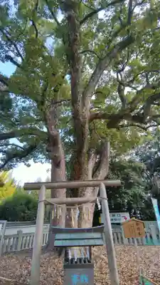 冠纓神社の自然