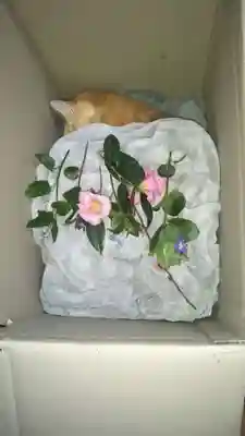 常清寺(神奈川県)