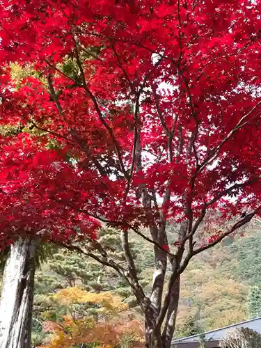 佛光山本栖寺(山梨県)