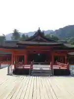 厳島神社の本殿・本堂