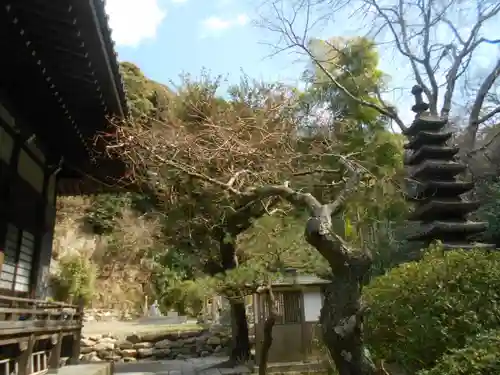 安國論寺（安国論寺）の庭園