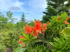 山家神社奥宮の自然