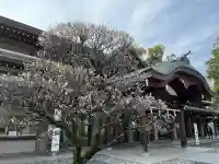 三嶋大社(静岡県)