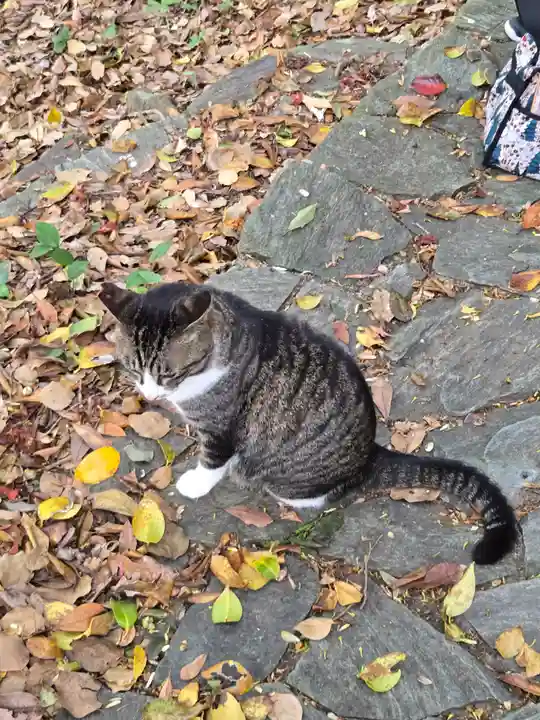 鵜戸神社(大御神社境内社)(宮崎県)